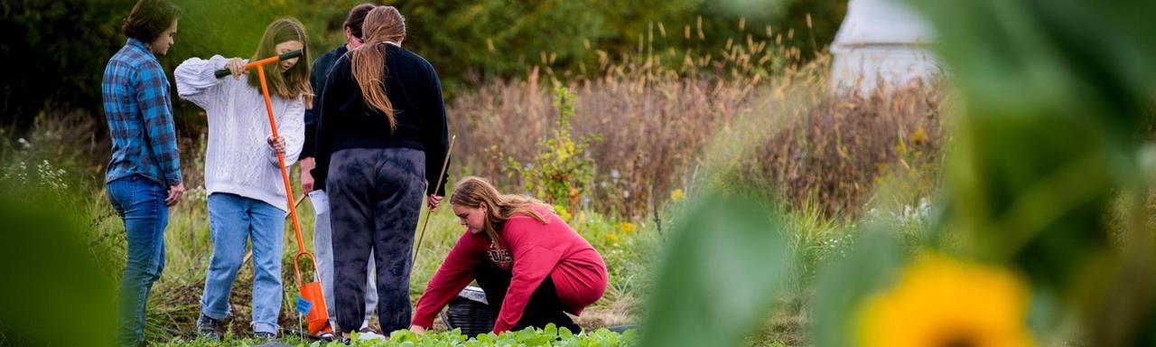 students tend to crops